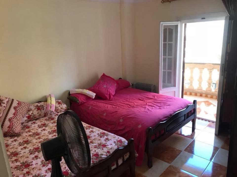 Cozy New 2 Bd Amazing Beach View Next To Hilton Hotel Family Only !العائلات فقط Alexandria Eksteriør billede